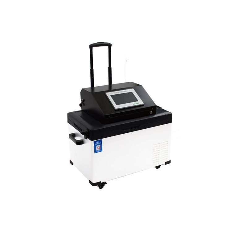 Summer beach concept