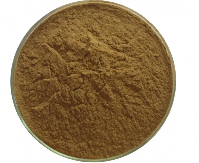 Summer beach concept