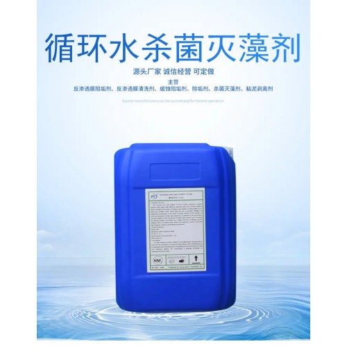 循环水泳池专用杀菌灭藻剂 除藻剂