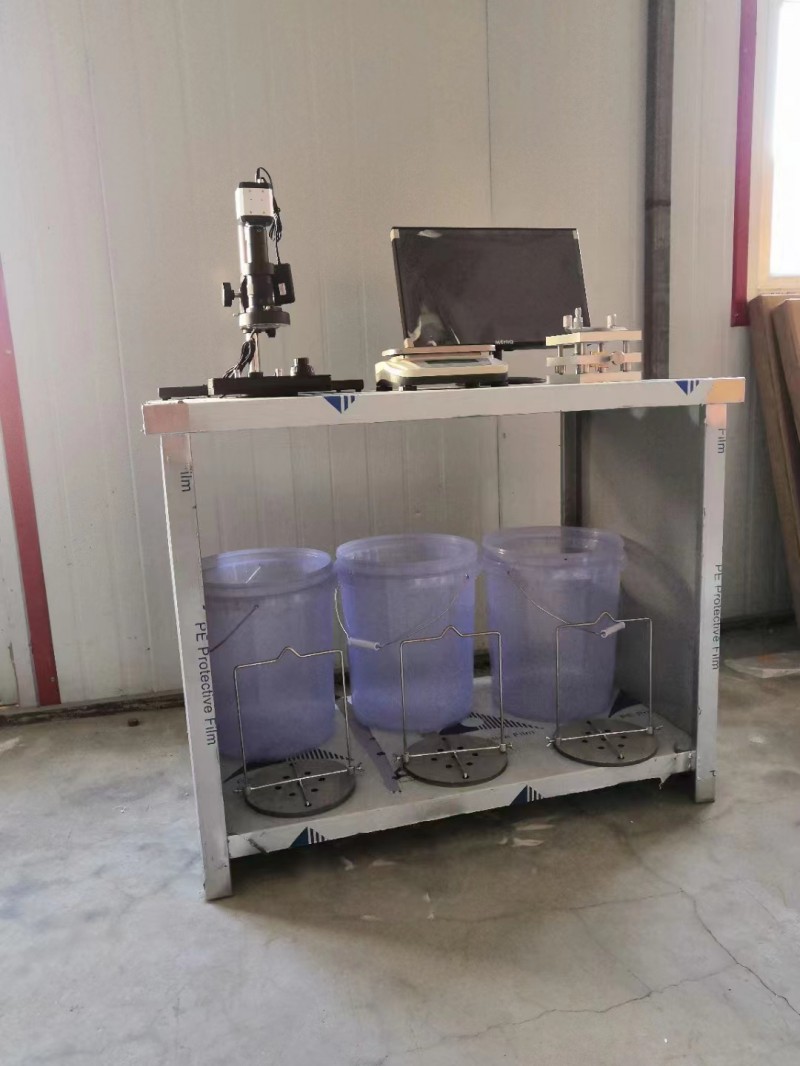 Summer beach concept