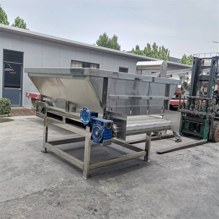 Summer beach concept