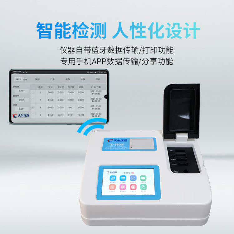 Summer beach concept