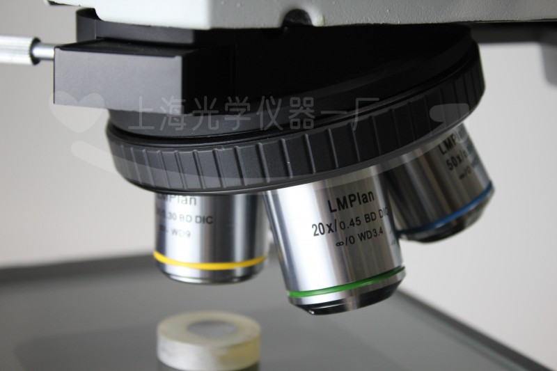 Summer beach concept