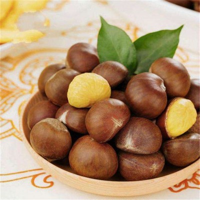 迁西 板栗 迁西产地 3113 老树板栗