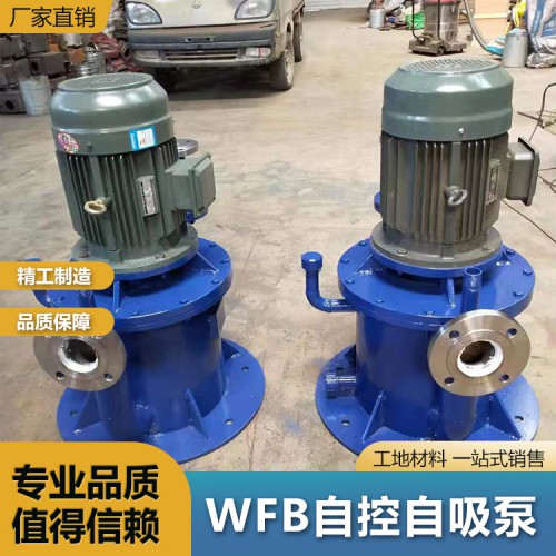 WFB自吸泵 不锈钢耐酸碱自控自吸泵 污水处理泵
