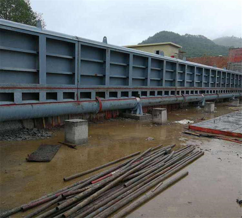 Summer beach concept