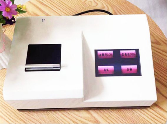 Summer beach concept