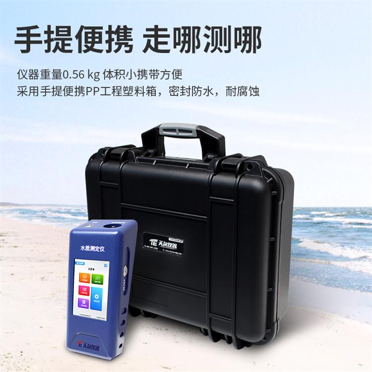 Summer beach concept