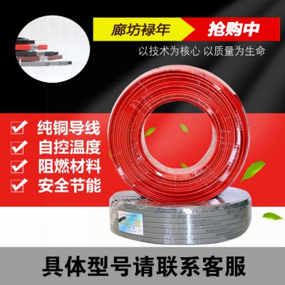 防爆型电伴热带 自控温电伴热带 电伴热带型号
