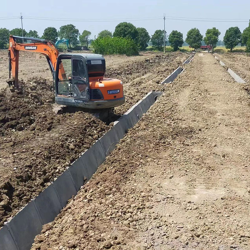 Summer beach concept