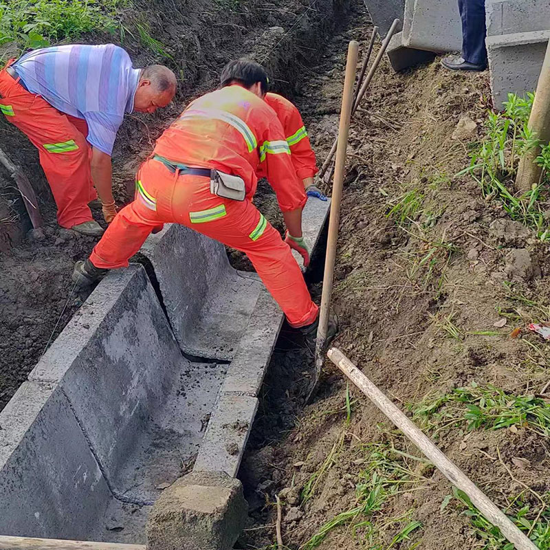 Summer beach concept