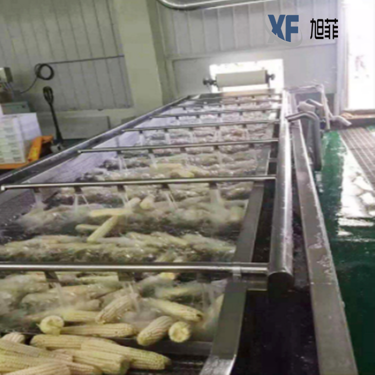 Summer beach concept