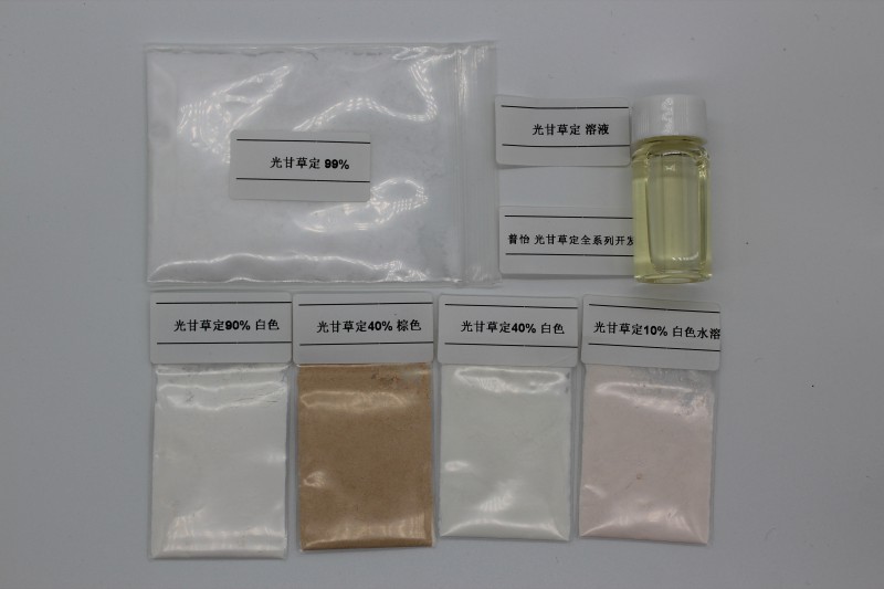 Summer beach concept