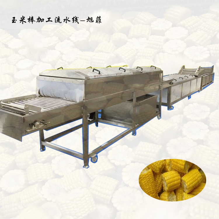 Summer beach concept