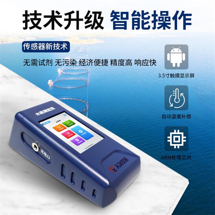 Summer beach concept