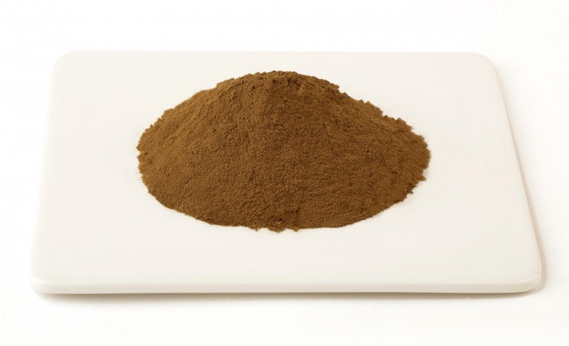 Summer beach concept