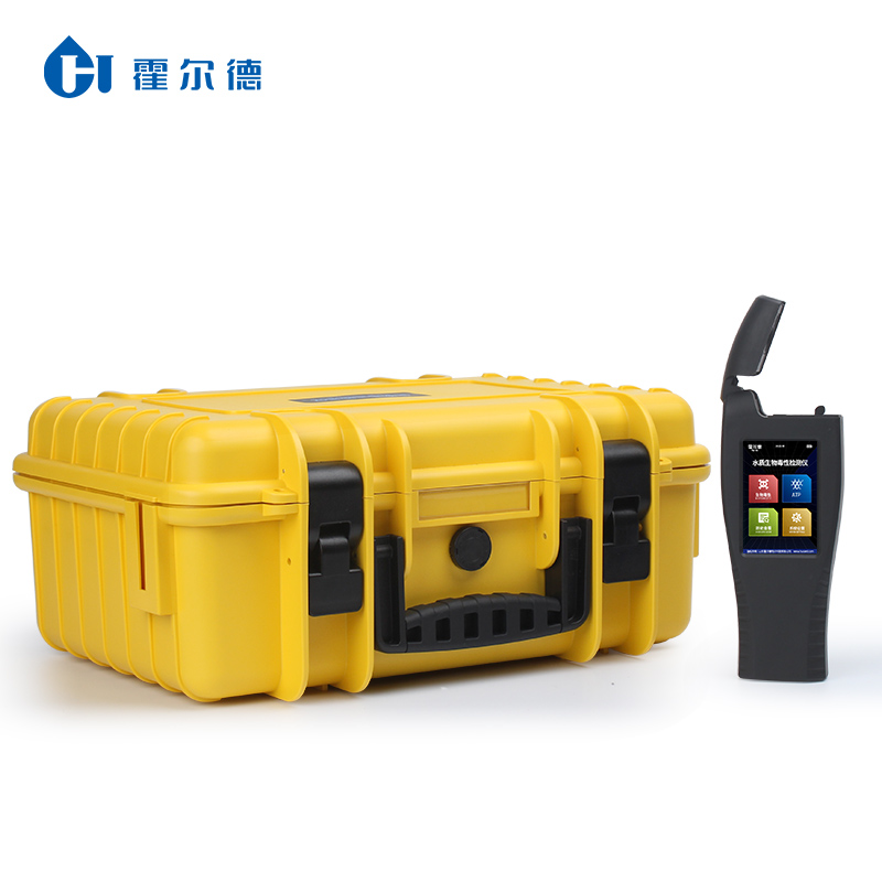 Summer beach concept