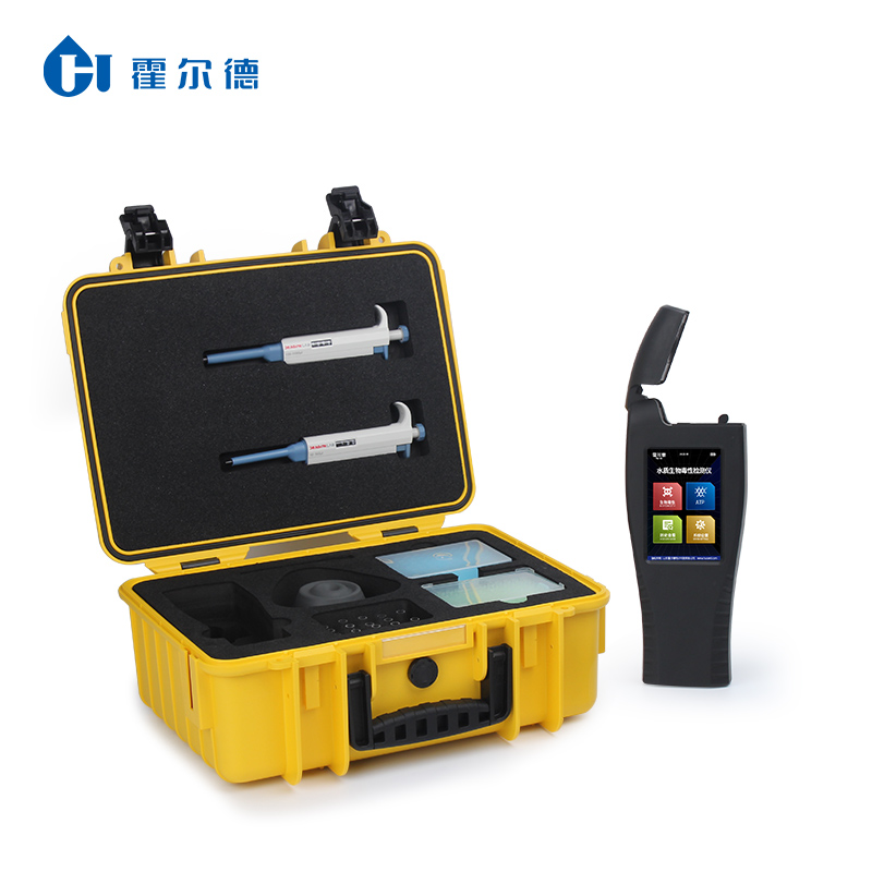 Summer beach concept