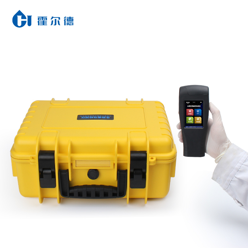 Summer beach concept