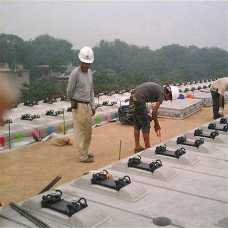 Summer beach concept