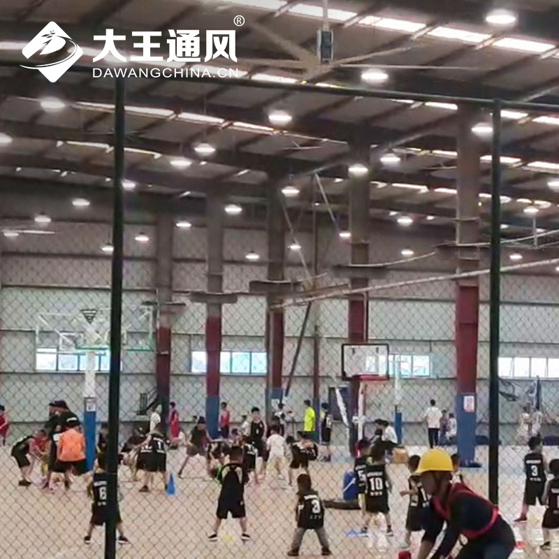 Summer beach concept