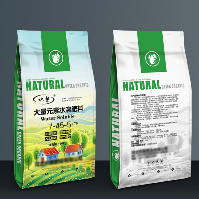 Summer beach concept