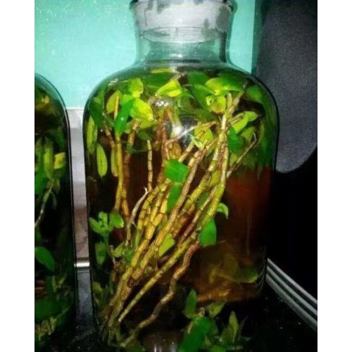 我想做石斛酒贴牌定制要找谁