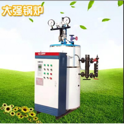 电蒸汽锅炉厂家 大强王电蒸汽锅炉