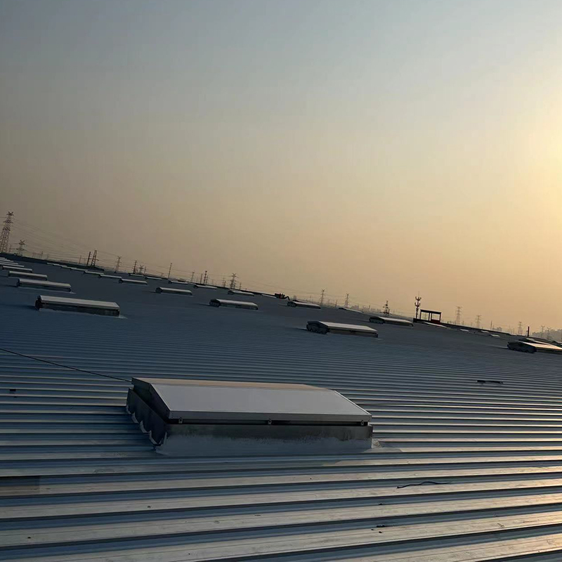 Summer beach concept