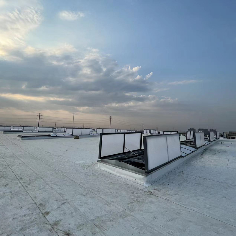 Summer beach concept