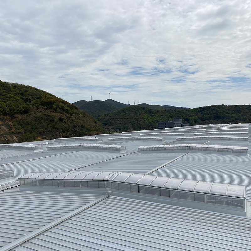 Summer beach concept