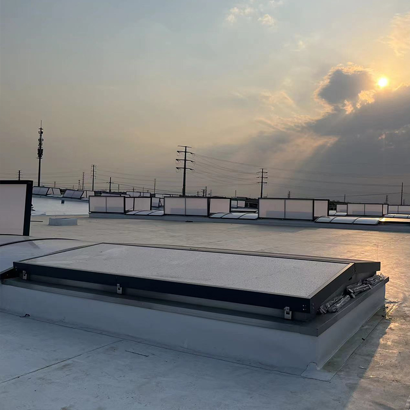 Summer beach concept