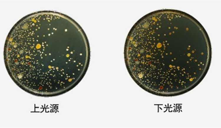 Summer beach concept