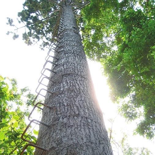 Summer beach concept