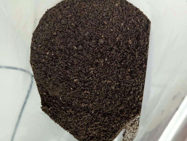 Summer beach concept