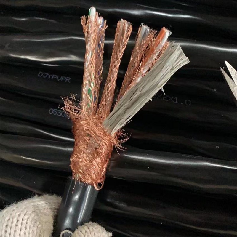 计算机电缆 (2)DJYPVP