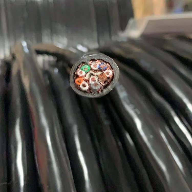 计算机电缆 (3)DJYVRP