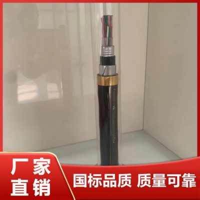 铁路信号电缆PTYA23