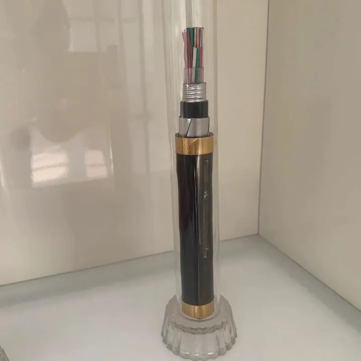 PTY23 (2)铁路信号电缆 (1)