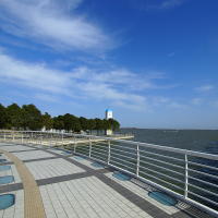 Summer beach concept