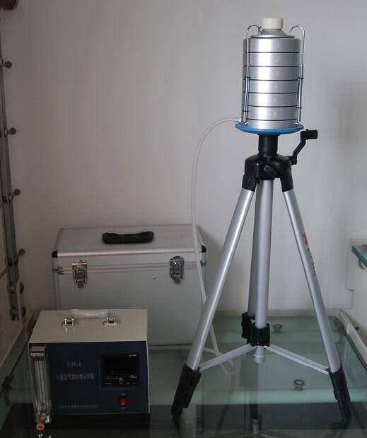 Summer beach concept