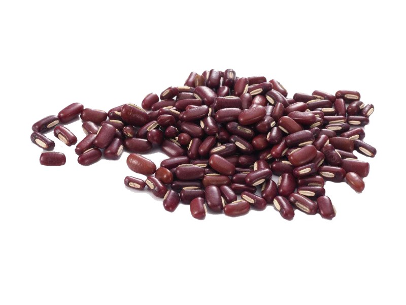 Summer beach concept