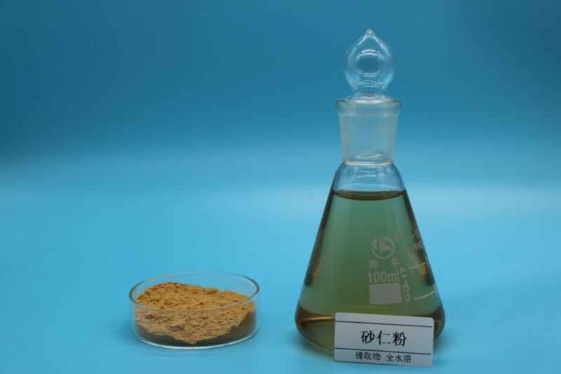 Summer beach concept