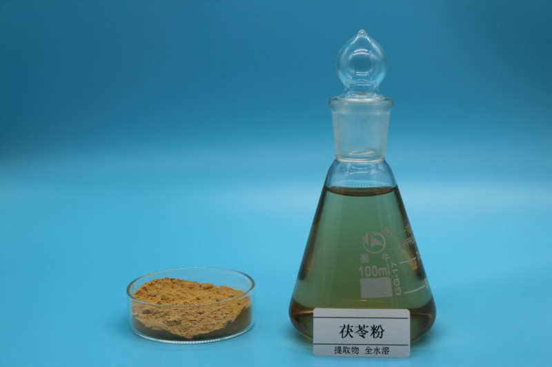 Summer beach concept