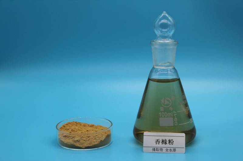 Summer beach concept