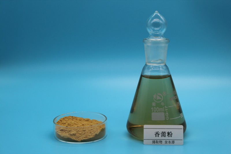 Summer beach concept