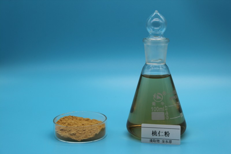 Summer beach concept