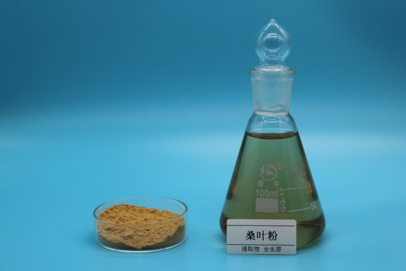 Summer beach concept