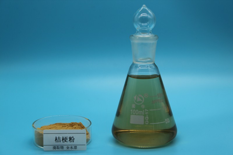 Summer beach concept