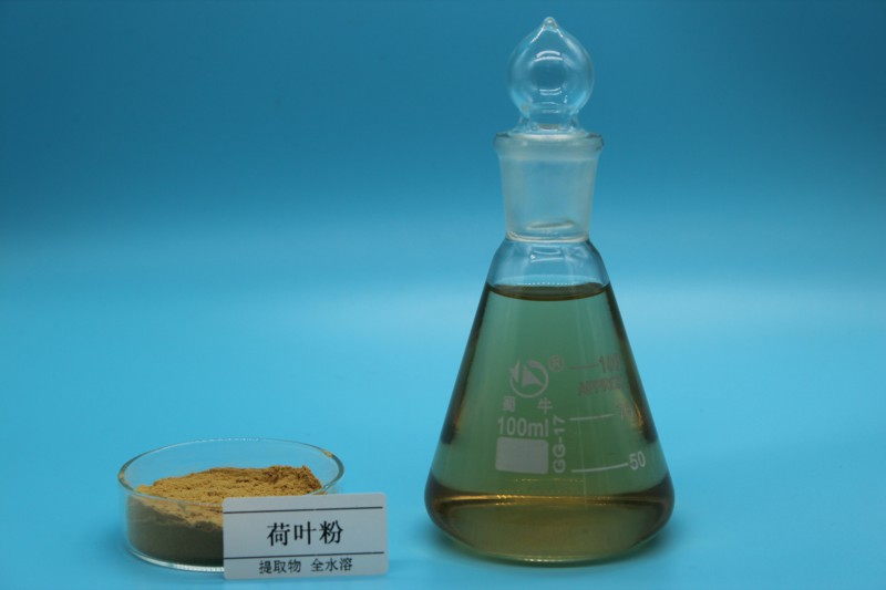 Summer beach concept